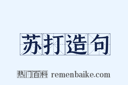 苏打造句是什么意思的图片